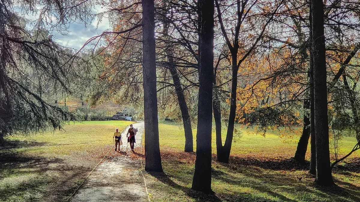 Respirazione durante la camminata: come trovare un ritmo naturale senza forzare