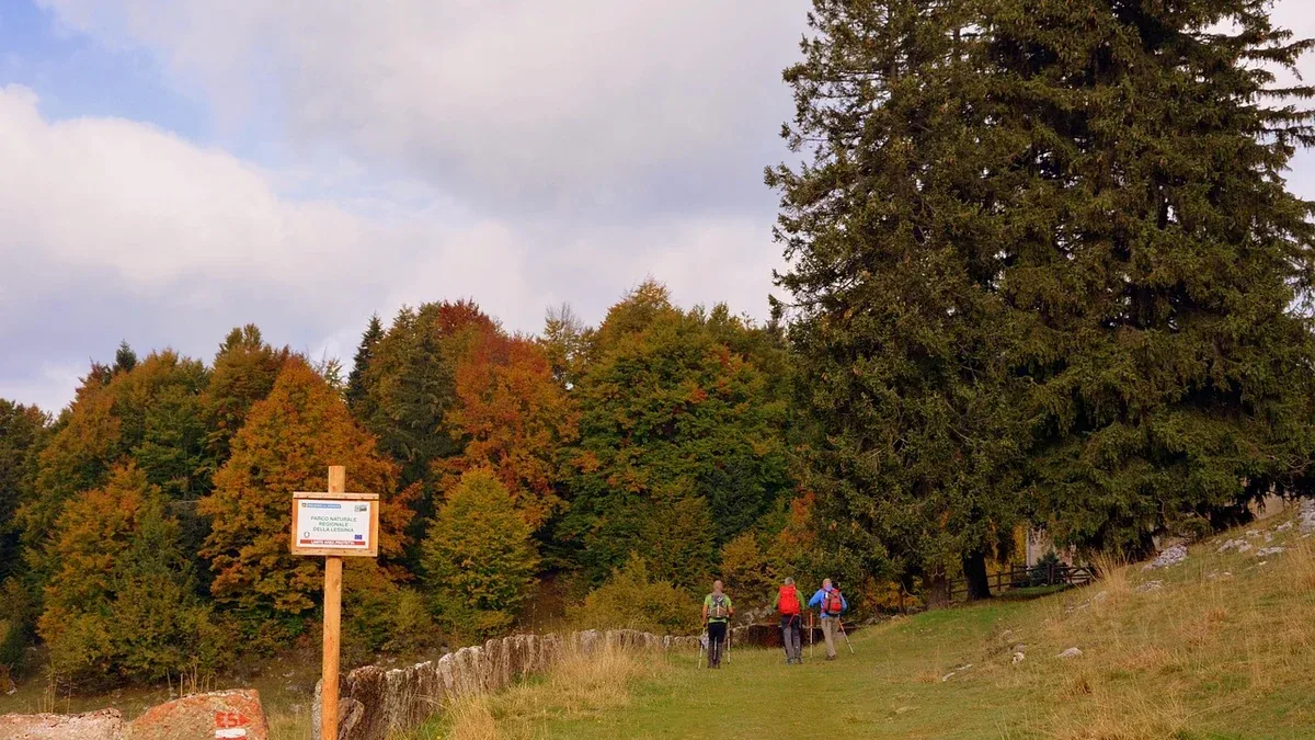 Nordic walking su percorso sterrato: quali tratti favoriscono una camminata fluida