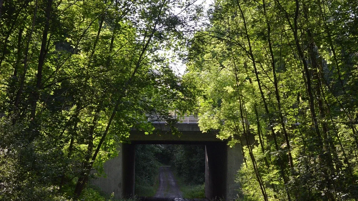 Sentiero con ponti o passerelle: dove cercare informazioni sulle condizioni del passaggio