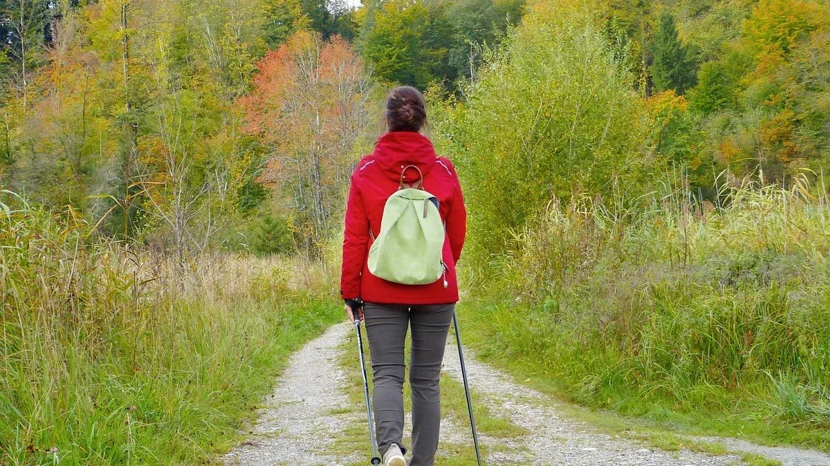 Bastoncini pieghevoli da Nordic Walking: come trasportarli quando non li usi